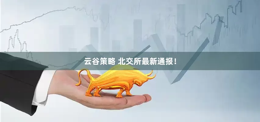 云谷策略 北交所最新通报！
