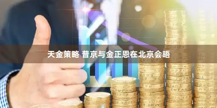 天金策略 普京与金正恩在北京会晤